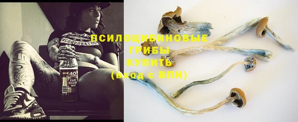 молекула духа Лихославль
