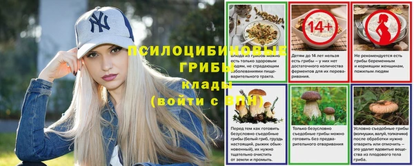 гашик Лиски