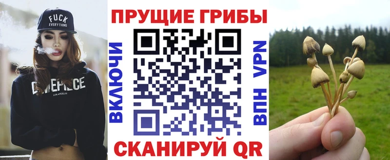kraken ссылки  Южно-Сухокумск  Галлюциногенные грибы прущие грибы 